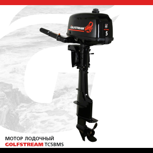 Мотор лодочный GOLFSTREAM TC5BMS