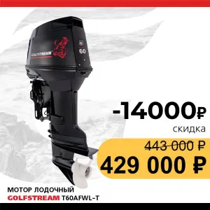 Мотор лодочный GOLFSTREAM T60AFWL-T