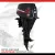 F9.9AFWS-EFI enduro