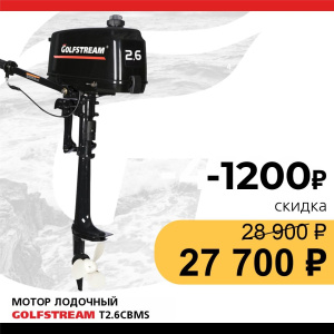 Мотор лодочный GOLFSTREAM T2.6CBMS