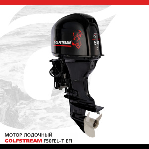 Мотор лодочный GOLFSTREAM F50FEL-T-EFI