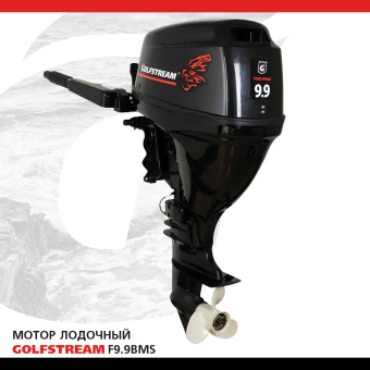 GOLFSTREAM F9.9BMS