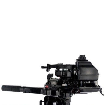 2 Мотор лодочный GOLFSTREAM T5.8BMS