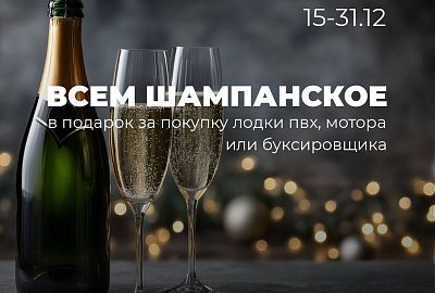 Шампанское в подарок за покупку